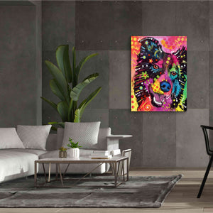 'Border Collie 2' by Dean Russo, Giclee Canvas Wall Art,40x54