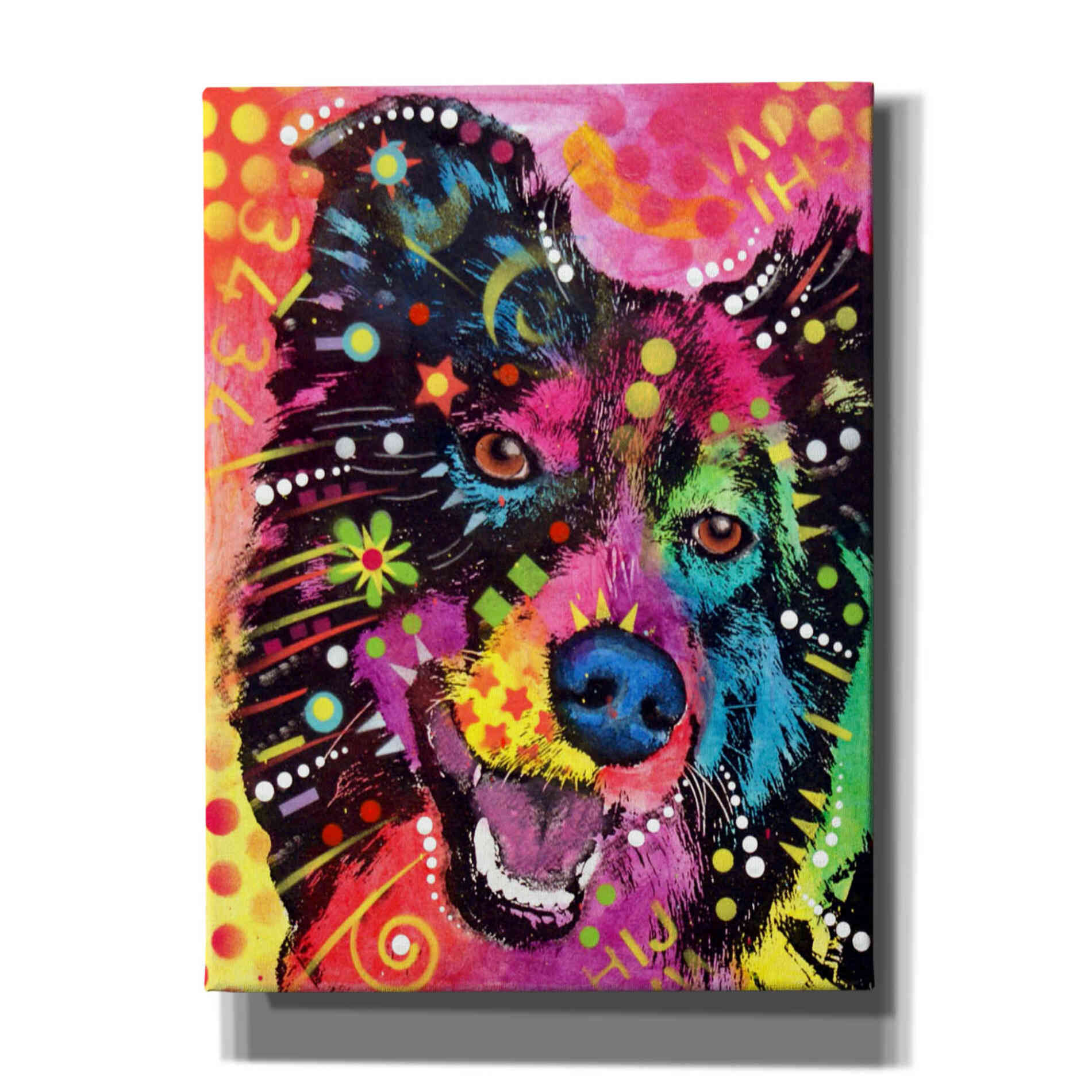 'Border Collie 2' by Dean Russo, Giclee Canvas Wall Art