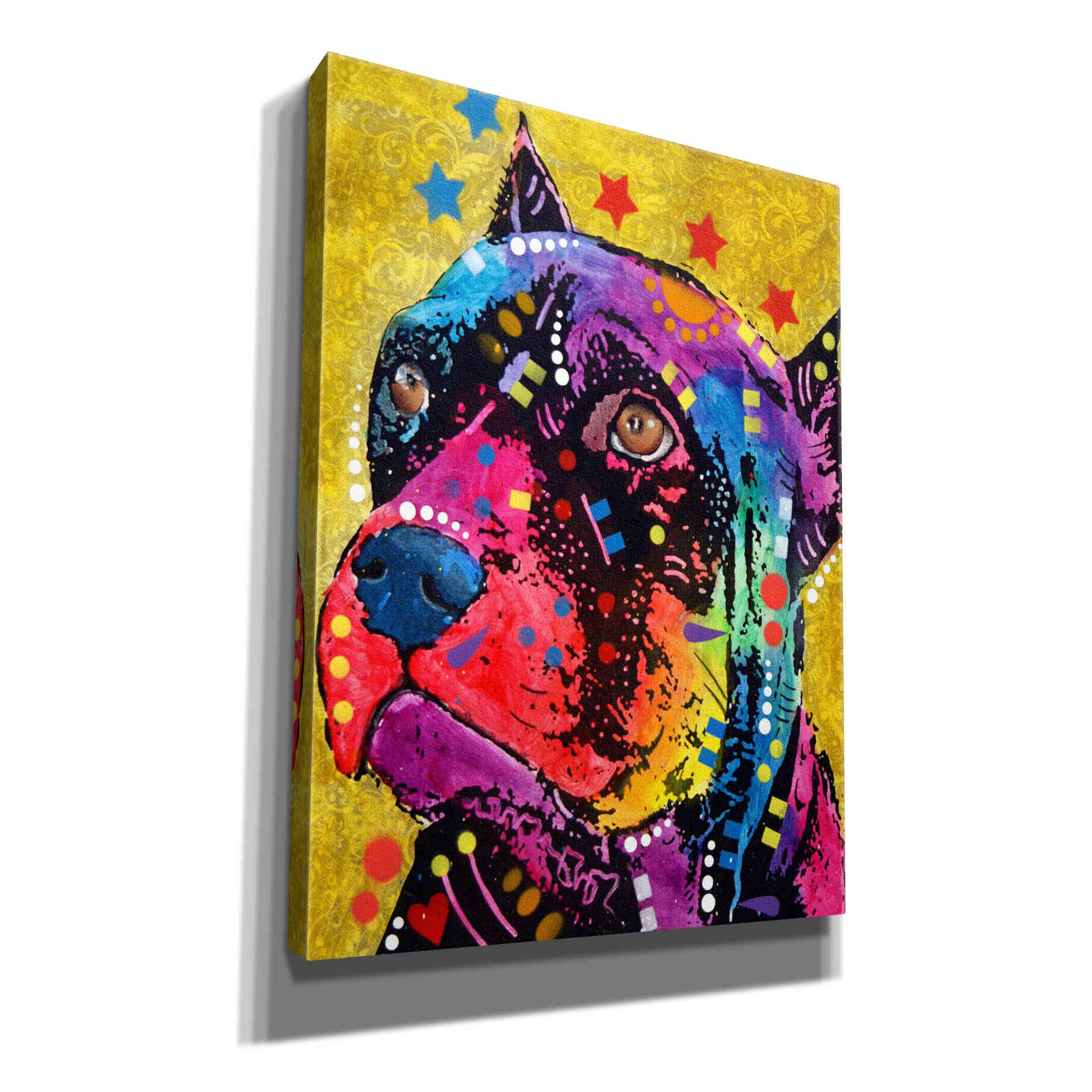 'Bri 1' by Dean Russo, Giclee Canvas Wall Art
