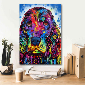 'Cocker Spaniel 2' by Dean Russo, Giclee Canvas Wall Art,18x26