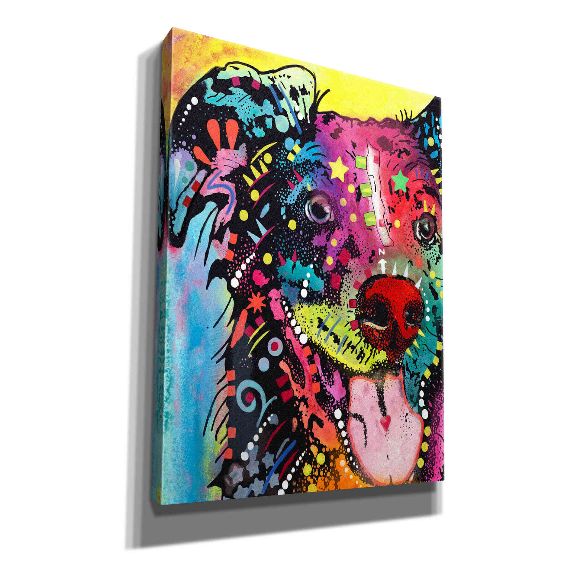 'Dak 1' by Dean Russo, Giclee Canvas Wall Art