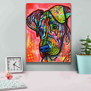 'Zen' by Dean Russo, Giclee Canvas Wall Art,12x16