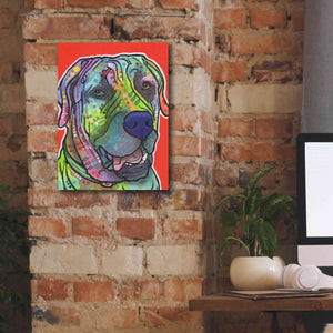 'Zeus' by Dean Russo, Giclee Canvas Wall Art,12x16