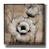 'Neutral Poppies I' by Tim O'Toole, Canvas Wall Art