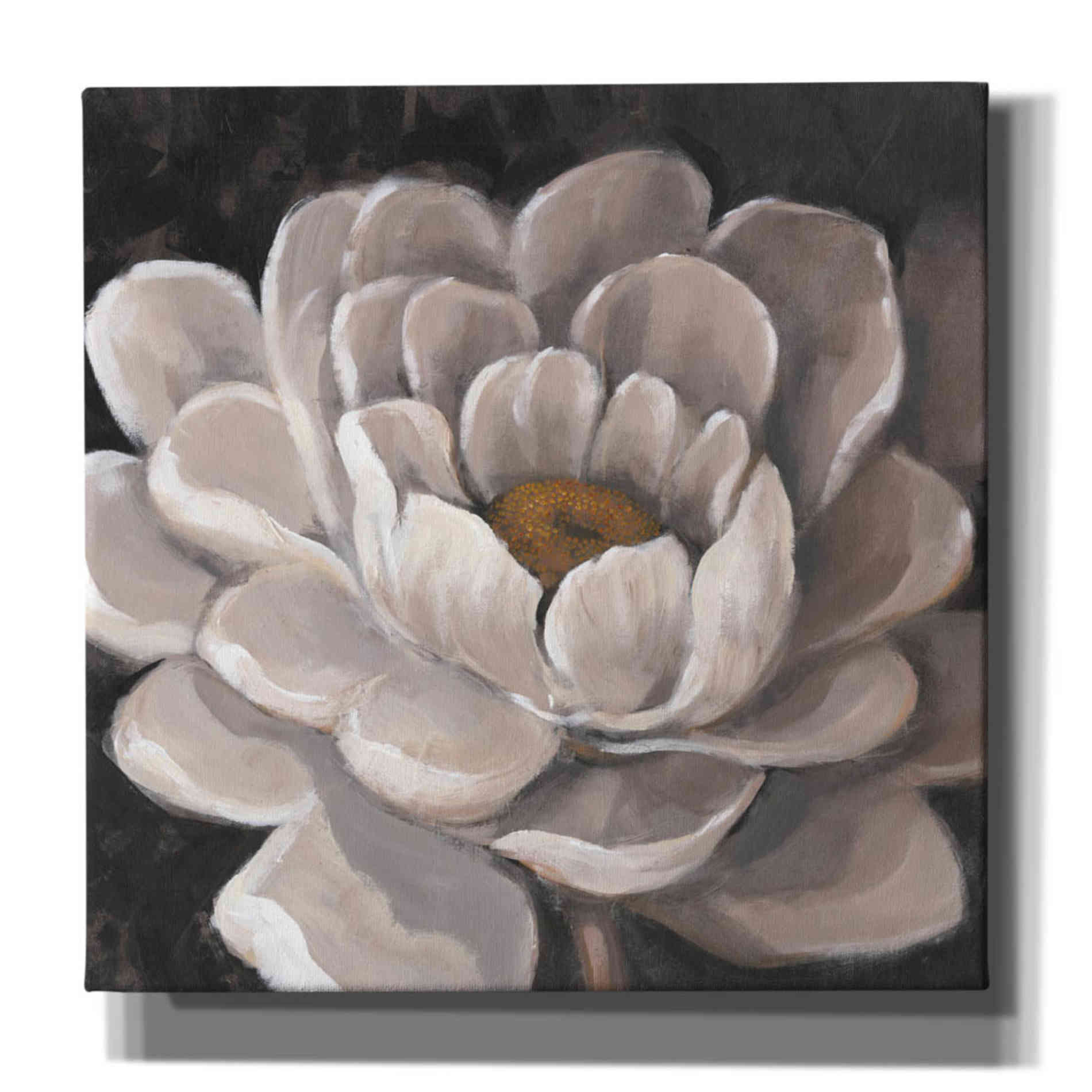 'Neutral Fleur I' by Tim O'Toole, Canvas Wall Art