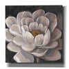 'Neutral Fleur I' by Tim O'Toole, Canvas Wall Art
