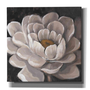'Neutral Fleur I' by Tim O'Toole, Canvas Wall Art