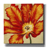 'Parrot Tulip II' by Tim O'Toole, Canvas Wall Art