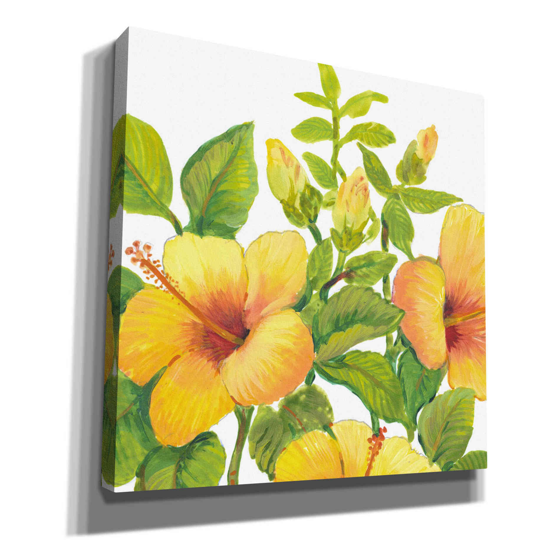 'Watercolor Hibiscus I' by Tim O'Toole, Canvas Wall Art