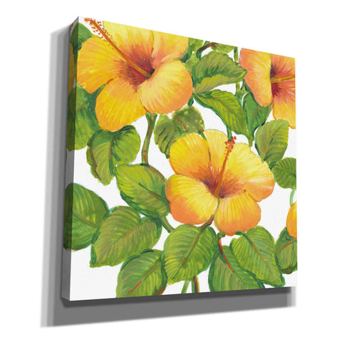 Image of 'Watercolor Hibiscus III' by Tim O'Toole, Canvas Wall Art