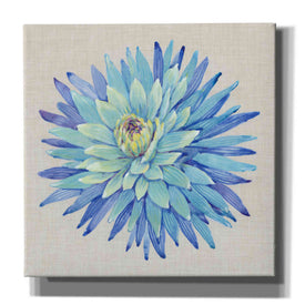 'Floral Portrait on Linen I' by Tim O'Toole, Canvas Wall Art