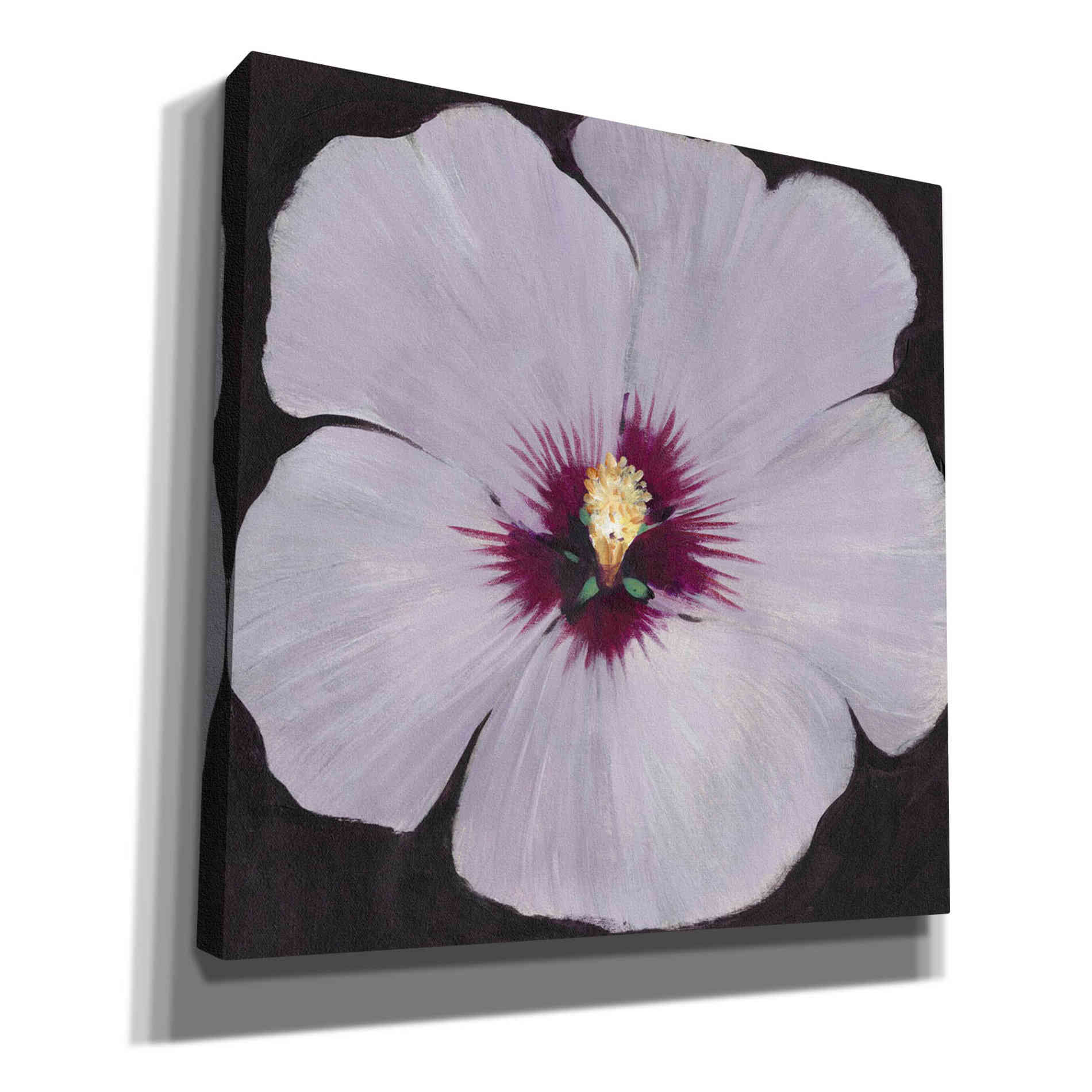 'Hibiscus Portrait II' by Tim O'Toole, Canvas Wall Art