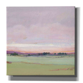 'Vivid Landscape II' by Tim O'Toole, Canvas Wall Art