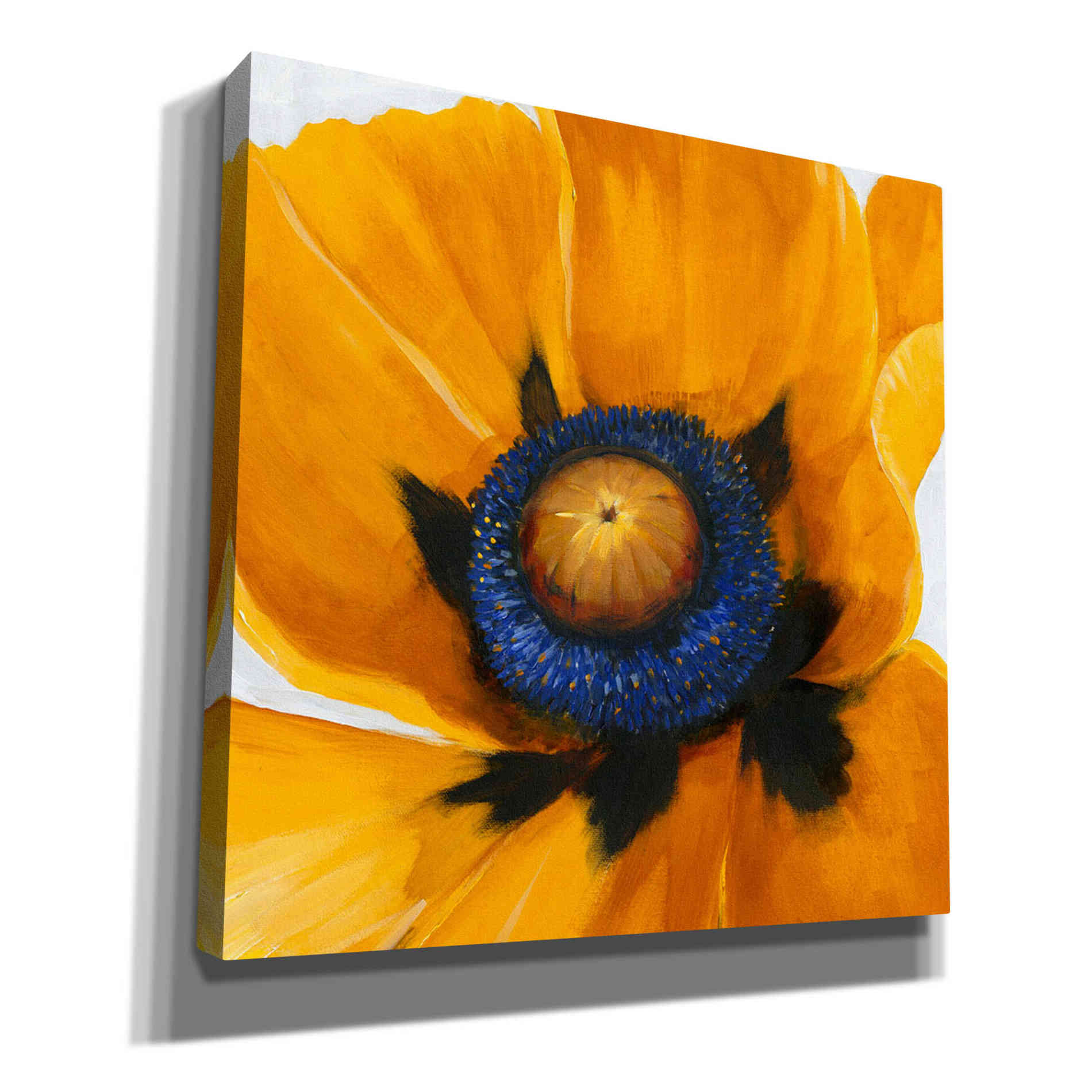 'Close-Up I' by Tim O'Toole, Canvas Wall Art