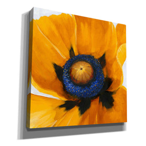 'Close-Up I' by Tim O'Toole, Canvas Wall Art
