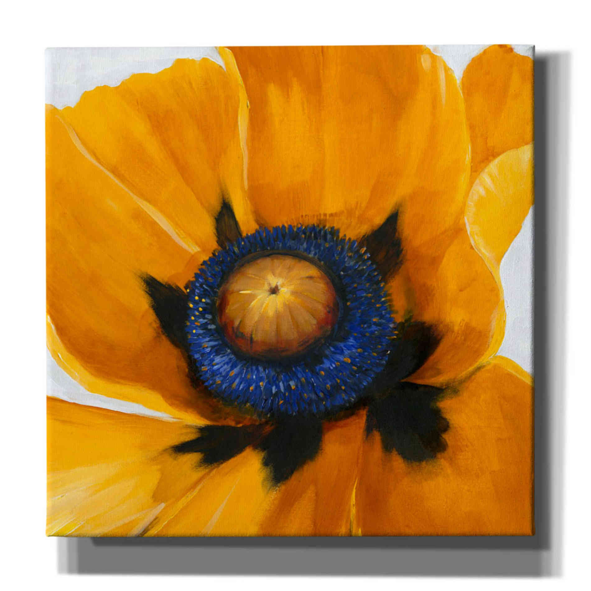 'Close-Up I' by Tim O'Toole, Canvas Wall Art