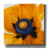 'Close-Up I' by Tim O'Toole, Canvas Wall Art