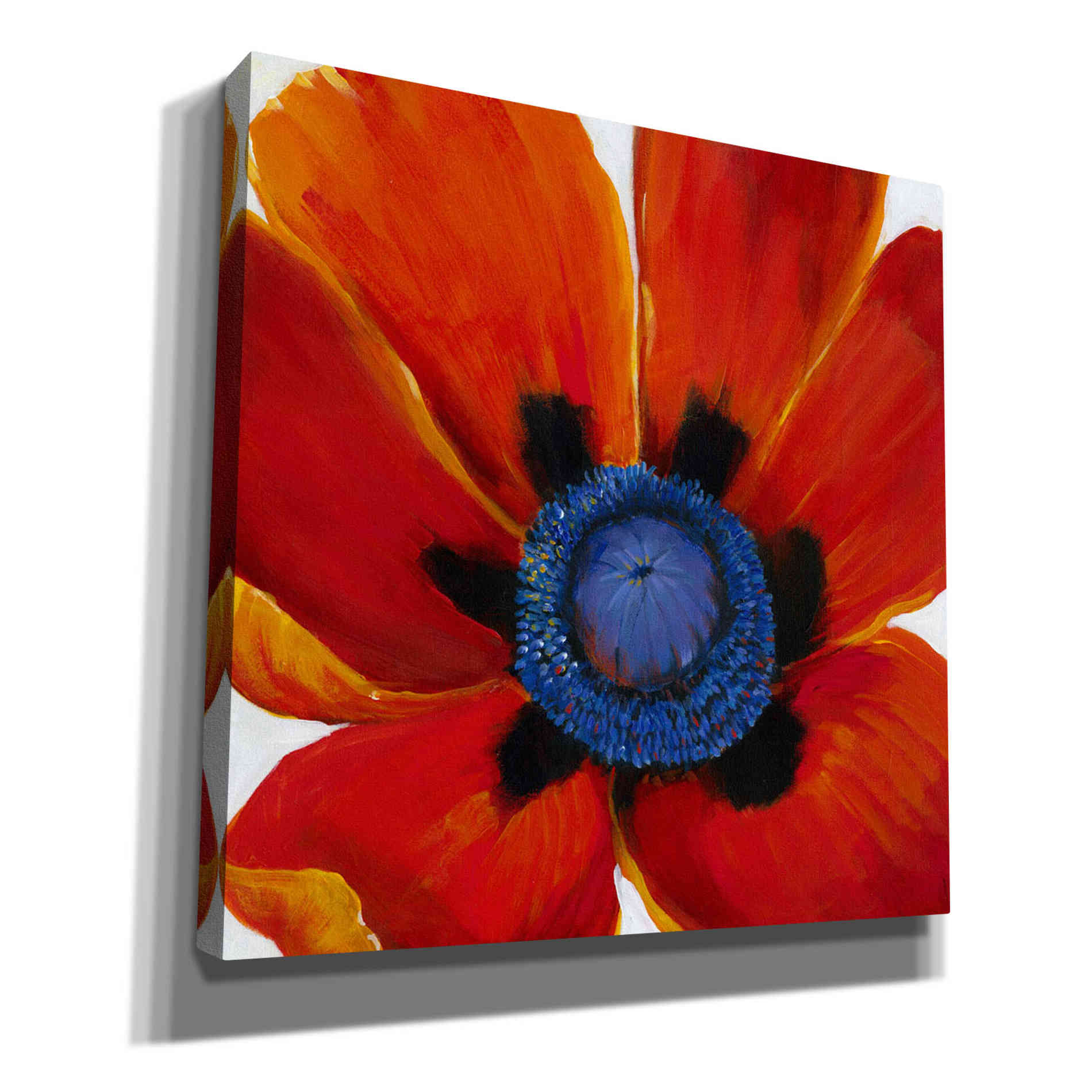 'Close-Up II' by Tim O'Toole, Canvas Wall Art