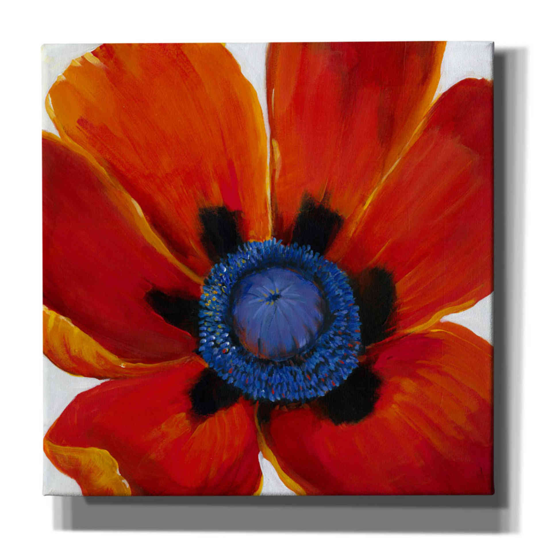 'Close-Up II' by Tim O'Toole, Canvas Wall Art