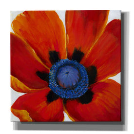 'Close-Up II' by Tim O'Toole, Canvas Wall Art