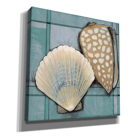 Image of 'Seashell Sketch I' by Tim O'Toole, Canvas Wall Art