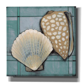 'Seashell Sketch I' by Tim O'Toole, Canvas Wall Art