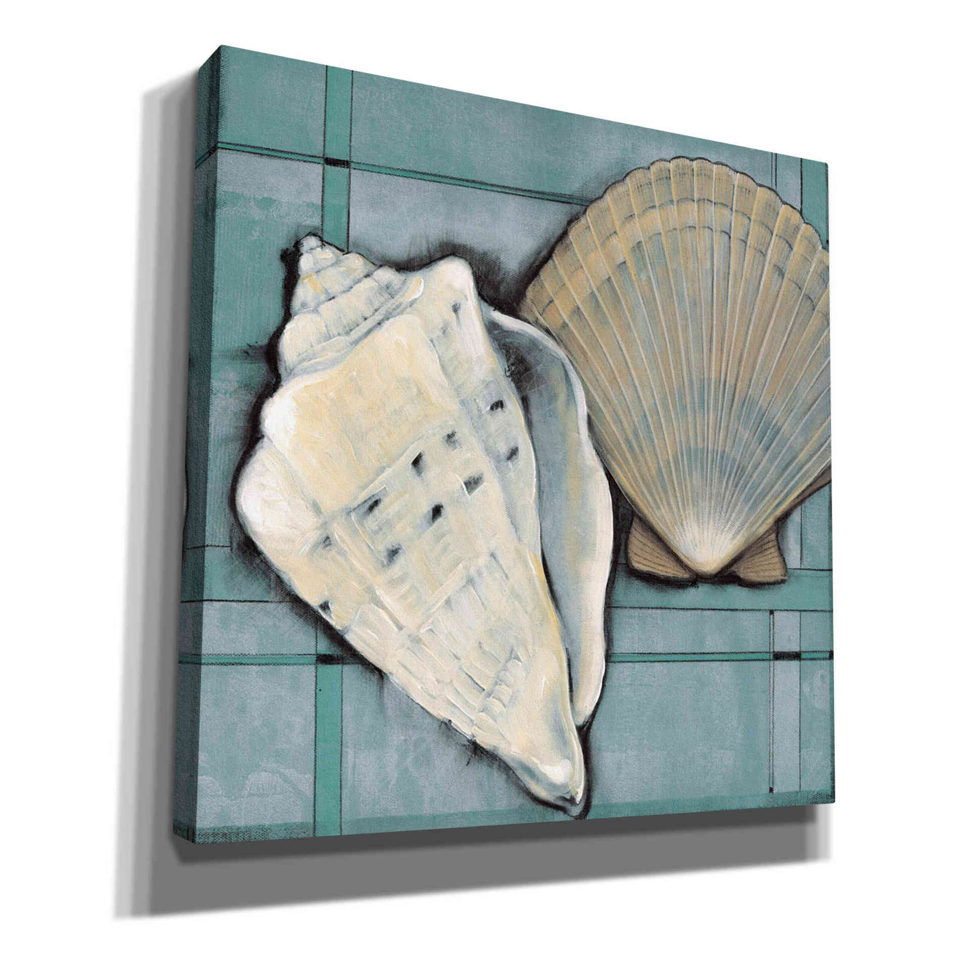 'Seashell Sketch II' by Tim O'Toole, Canvas Wall Art