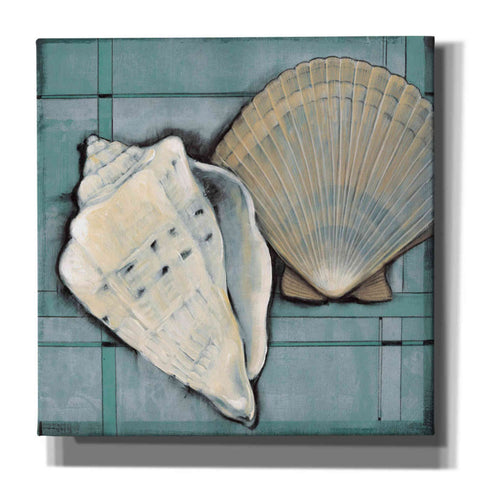 Image of 'Seashell Sketch II' by Tim O'Toole, Canvas Wall Art