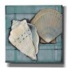'Seashell Sketch II' by Tim O'Toole, Canvas Wall Art