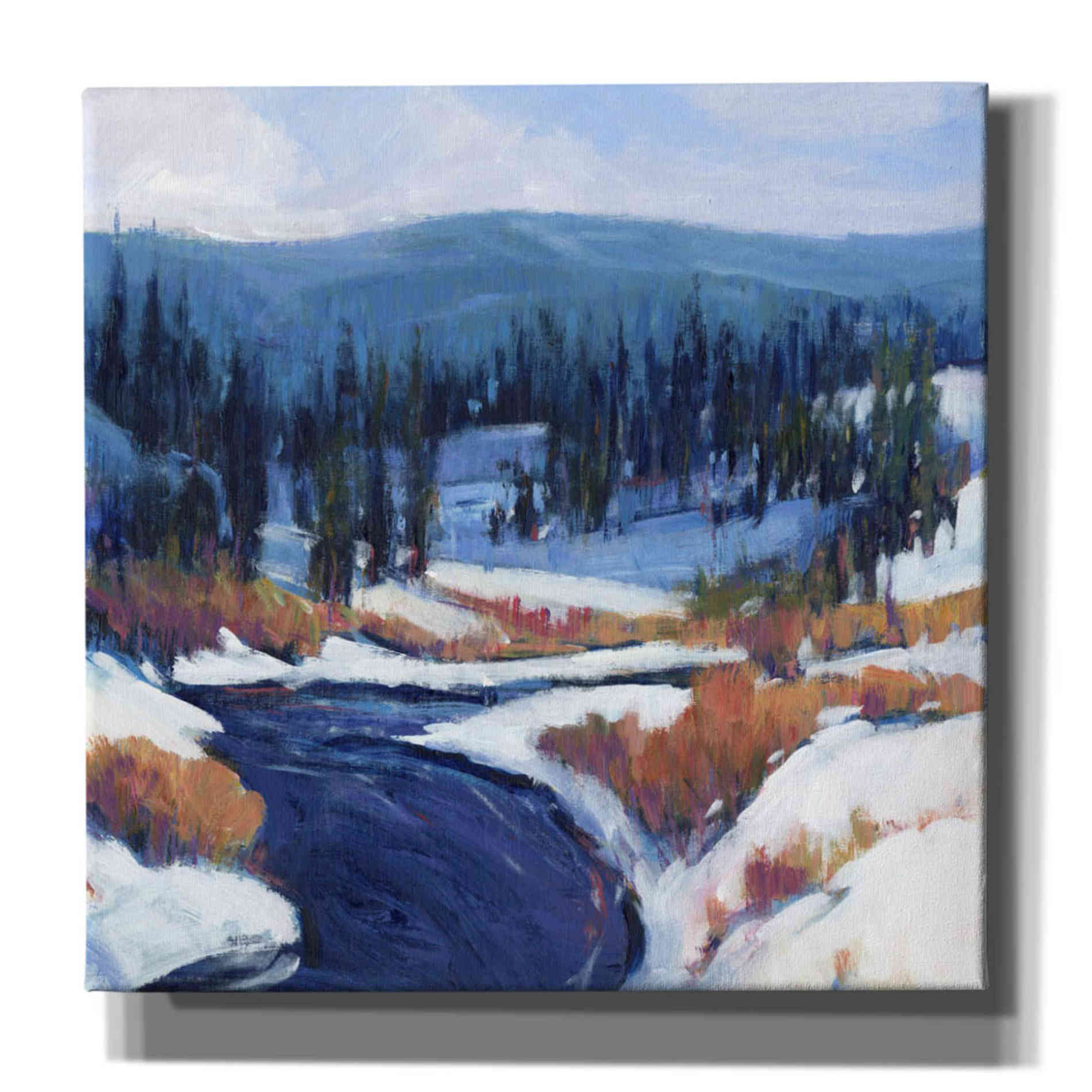 'Mountain Creek II' by Tim O'Toole, Canvas Wall Art