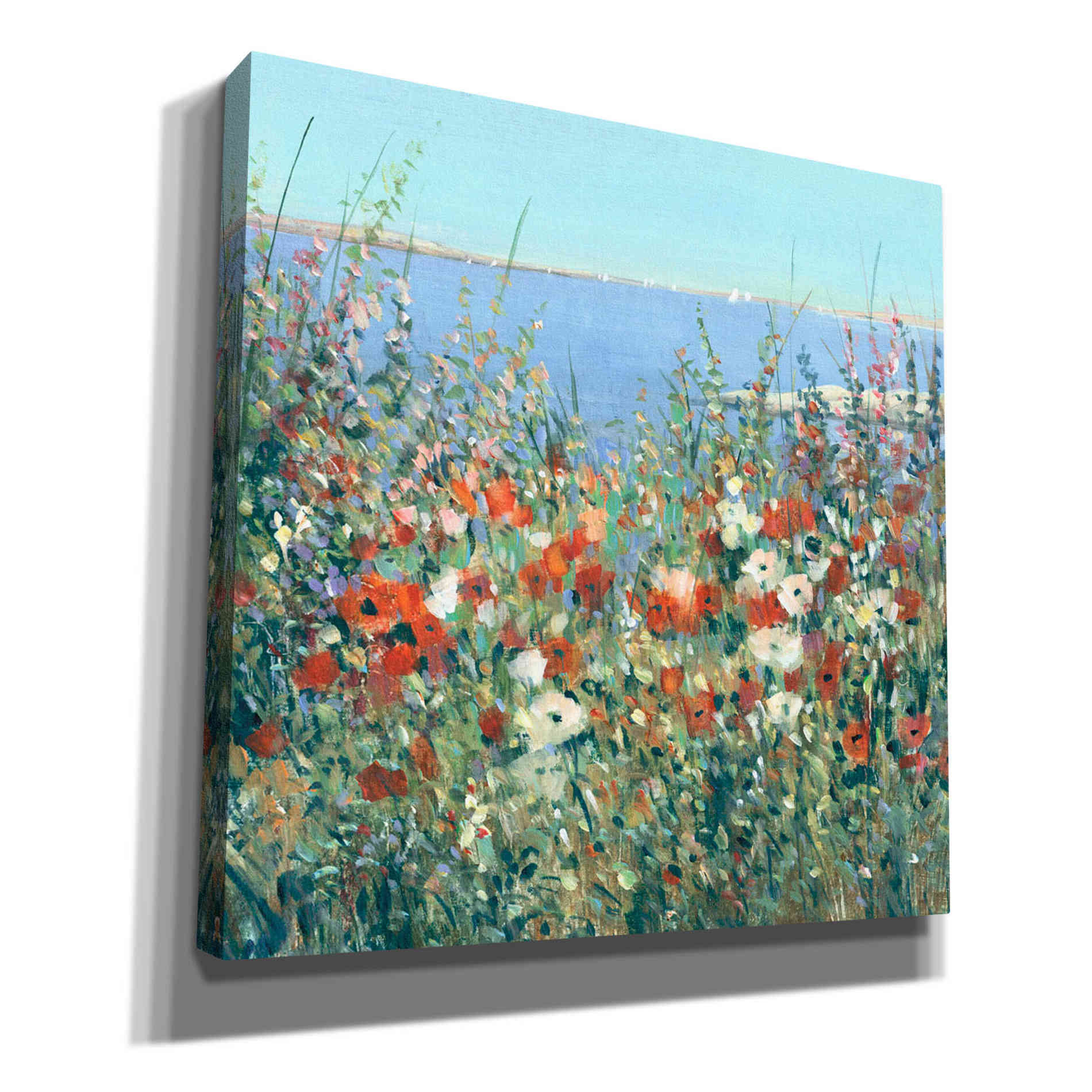 'Seaside Garden I' by Tim O'Toole, Canvas Wall Art