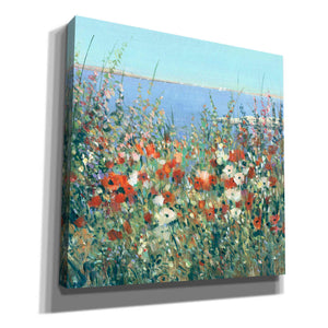 'Seaside Garden I' by Tim O'Toole, Canvas Wall Art
