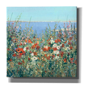 'Seaside Garden I' by Tim O'Toole, Canvas Wall Art