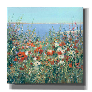 'Seaside Garden I' by Tim O'Toole, Canvas Wall Art