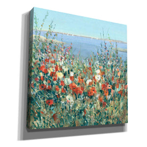 'Seaside Garden II' by Tim O'Toole, Canvas Wall Art