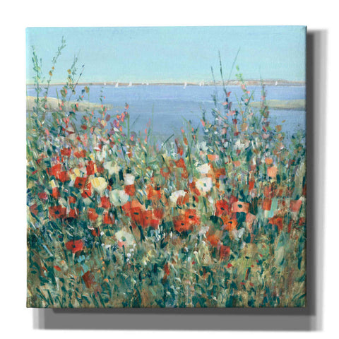 Image of 'Seaside Garden II' by Tim O'Toole, Canvas Wall Art