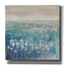 'Before the Rain II' by Tim O'Toole, Canvas Wall Art