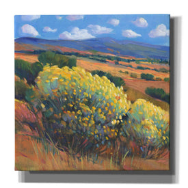 'Chamisa I' by Tim O'Toole, Canvas Wall Art