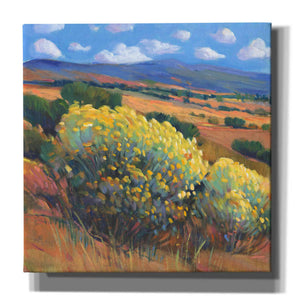 'Chamisa I' by Tim O'Toole, Canvas Wall Art