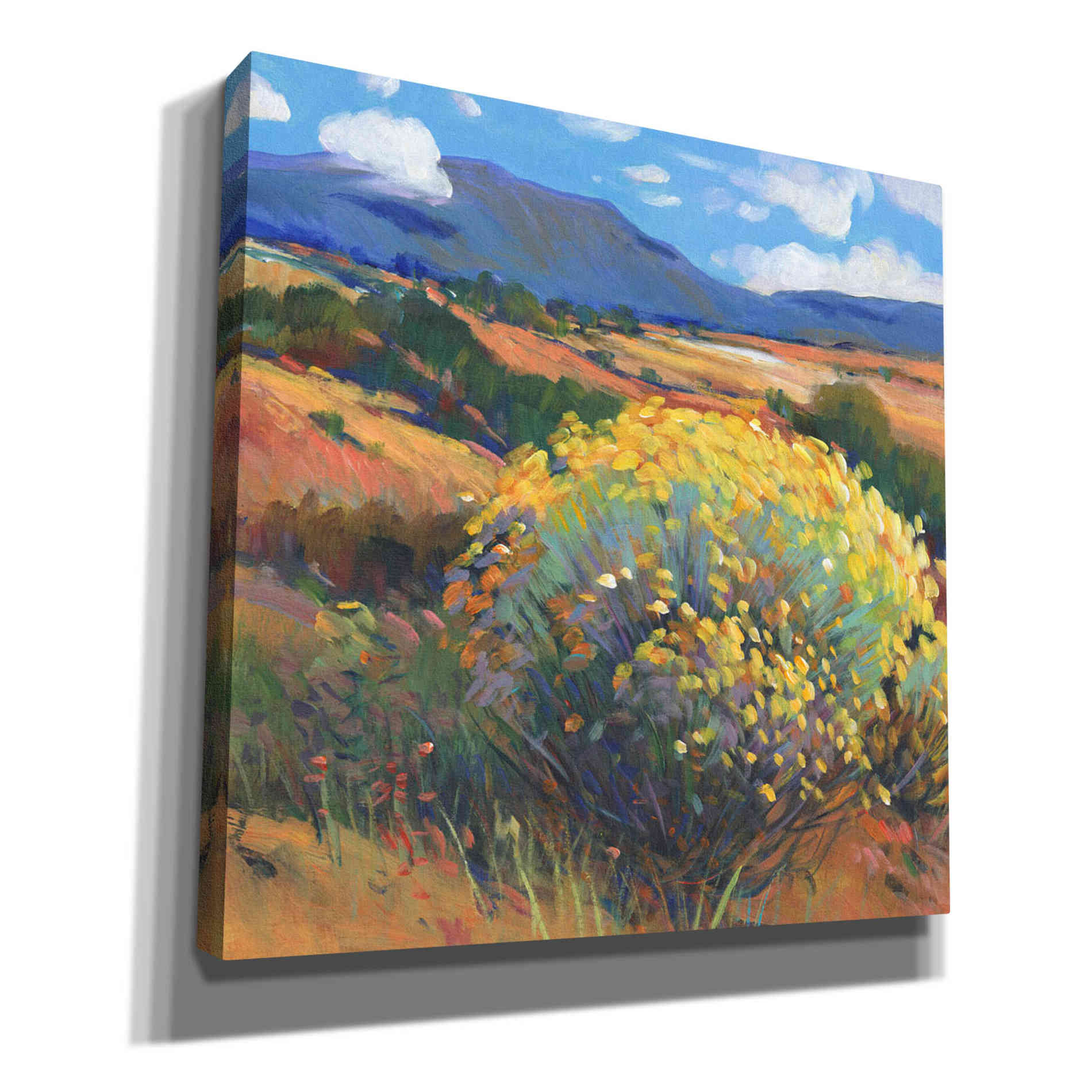 'Chamisa II' by Tim O'Toole, Canvas Wall Art