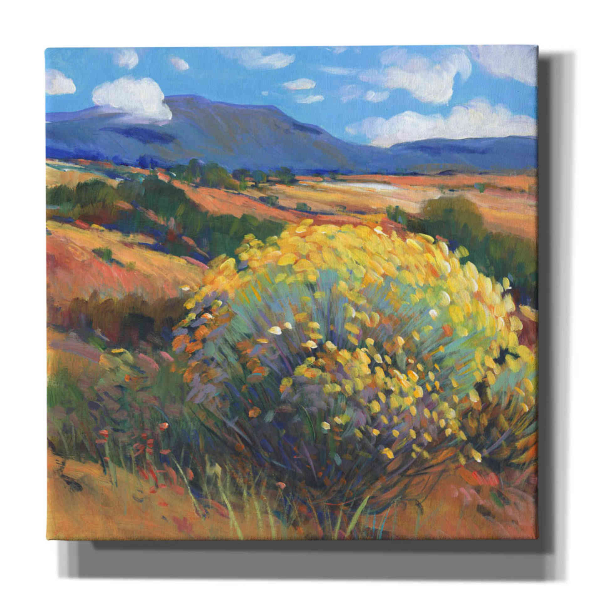 'Chamisa II' by Tim O'Toole, Canvas Wall Art