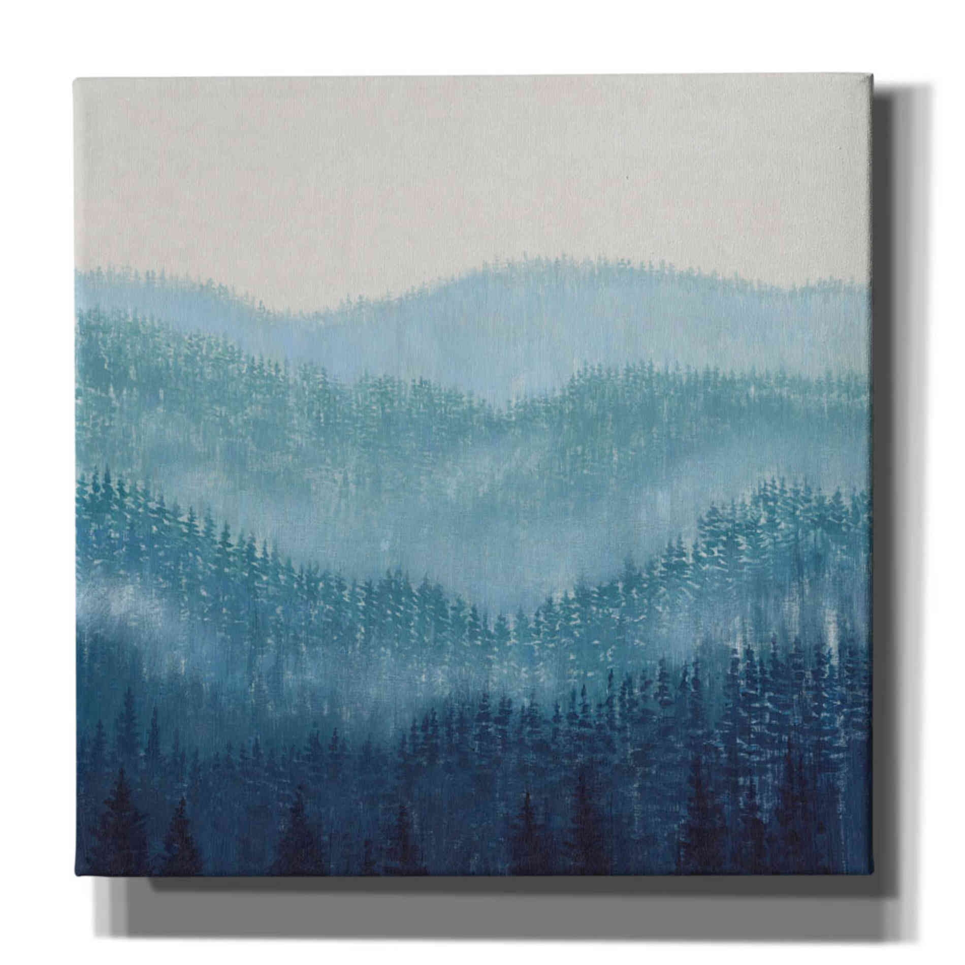 'Smokey Ridge II' by Tim O'Toole, Canvas Wall Art