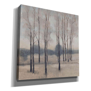 'Soft Light I' by Tim O'Toole, Canvas Wall Art