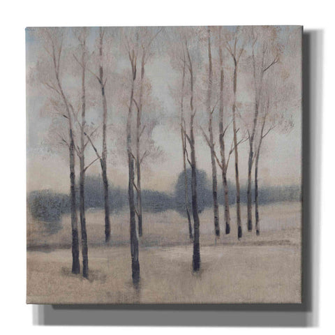 Image of 'Soft Light I' by Tim O'Toole, Canvas Wall Art