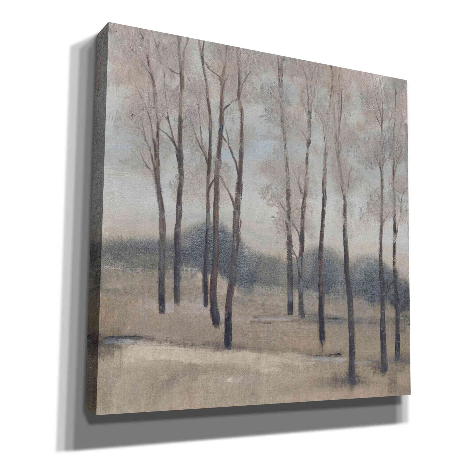 'Soft Light II' by Tim O'Toole, Canvas Wall Art
