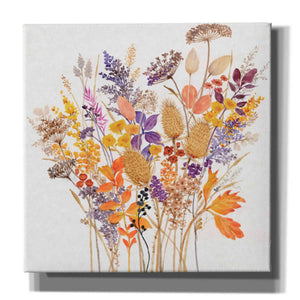 'Dried Arrangement I' by Tim O'Toole, Canvas Wall Art