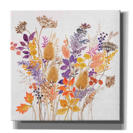 'Dried Arrangement II' by Tim O'Toole, Canvas Wall Art