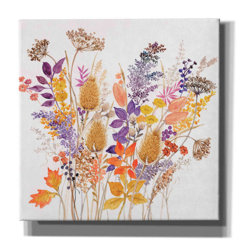 Image of 'Dried Arrangement II' by Tim O'Toole, Canvas Wall Art