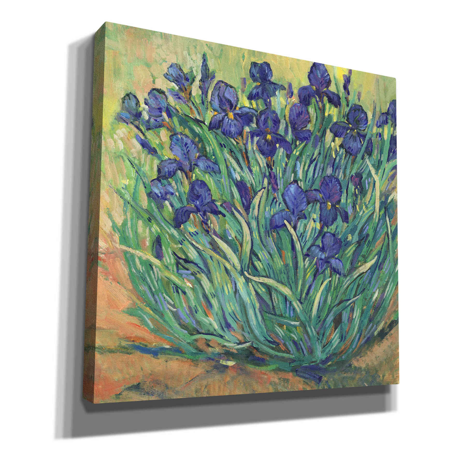 'Irises in Bloom I' by Tim O'Toole, Canvas Wall Art