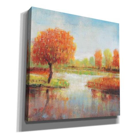 Image of 'Lake Reflection I' by Tim O'Toole, Canvas Wall Art